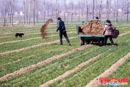 最有前景的小型工厂 （在农村县城或乡镇能做的小型加工厂暴利项目）